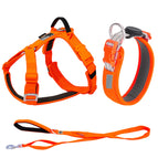 Orange 3-piece Set / L
