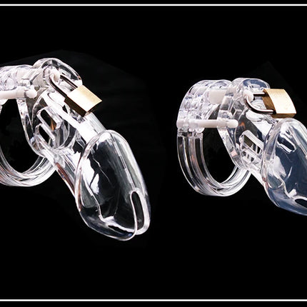 2 Size Male Chastity Cage Device Small/Standard Cock Cage with Rings Erotics Urethral Brass Lock Locking Sex Toys for Men Adults