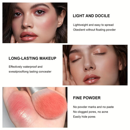 12-Color Iron Box Concealer Blush Palette Matte Highlighter Contour Makeup Palette Creamy All-in-one Palette Face Cosmetics