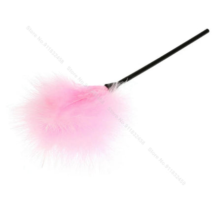 Beginner BDSM Flirting Set –Sensual Tickler Feathers & Brushes Kit, Adult Sensory Massage Tools for Couples Women Men