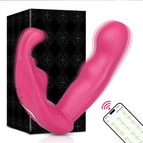 CD75-APP-RD-BOX / China Mainland