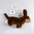 Dachshund
