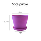 5pcs purple
