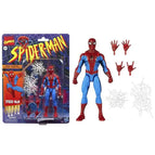 Spider D