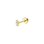 style6 / 20G (0.08mm)