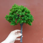 30cm light green