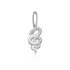 Silver Snake