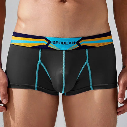 SEOBEAN Men's Sheer Boxer Briefs Nylon Low-Rise Underwear Lightweight Breathable Fashion Stylish Thin See-Through 230215 412114