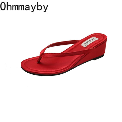 Summer Women Wedges Heel Silver Slippers Outdoor Street Style Dress Shoes Ladies Outdoor Beach Vacation Clip Toe Slides