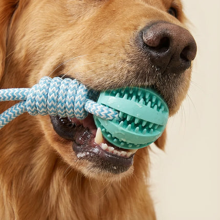 Cotton Rope & Rubber Dog Chew Ball, Treat Dispenser Toy. 18x13cm, Durable, for Boredom & Teething