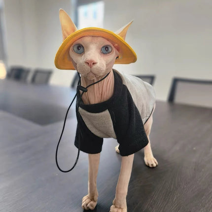 Spring Summer Cotton Cat Hat With Ear Holes For Sphynx Hairless Cats Solid Color Devon Rex Sunscreen Tie Dye Adjustable Hats