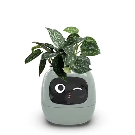 Smart AI Desktop Toy Planter Endless Fun Over 49 Rich Expressions 7 Smart Sensors And AI Chips Make Raising Plants Easy And Fun