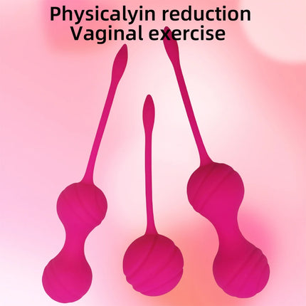 Smart Kegel Exercise Ball Kit for Women Controlled Vibrating Geisha Ball  Vaginal Trainer & Pelvic Toner with Vibration