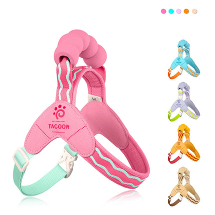 Dog Harness Leash Set Step-In No-Pull Easy Escape Proof Vest with Dual Leash Clips  for Puppy Small Medium  Dogs