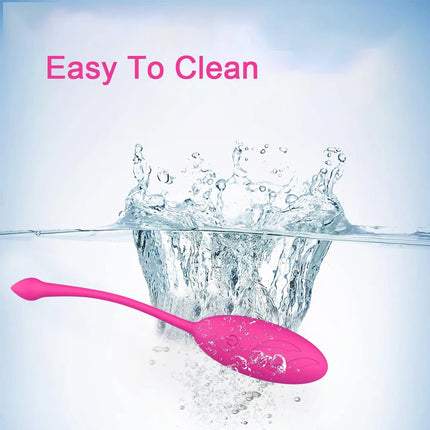 Women Vibrating Egg Vagina Vibrator Remote Control Wearable Panties Vibrator Female Masturbation Interaction Sex Toy for Couples