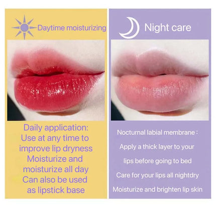 2Pcs Moisturizing Lip Balm & Lip Oil Set Deep Hydration Lip Care Kit Reduces Lip Lines Plumps Lips for Soft And Smooth Pout