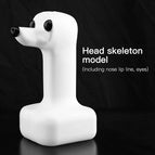head model
