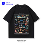 4 / 4XL