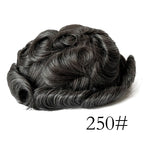 250 / 120% / 6 inches|8x10|free