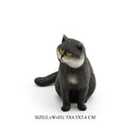 Mini Cat -19