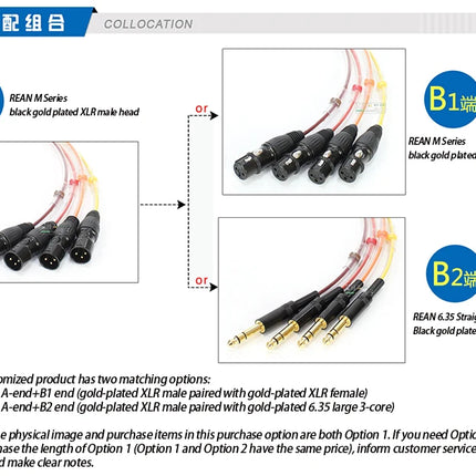 Professional 4/8/12/16/24 Channel XLR Snake Cable, Male to Female, Shielded Audio Extension for Stage Studio Mixer