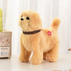 Golden retriever / 15cm