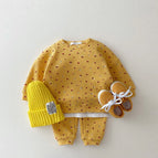 Yellow / 2-3Y 100