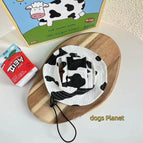Black cow / L