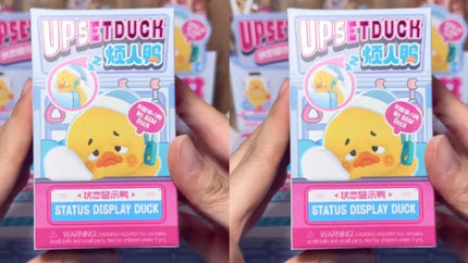 new Upset Duck hipper series Vinyl Blind Box Surprise Toy Mystery Box Anime Figure Doll Ornament Christmas birthday girl Gift