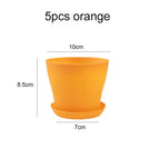 5pcs orange