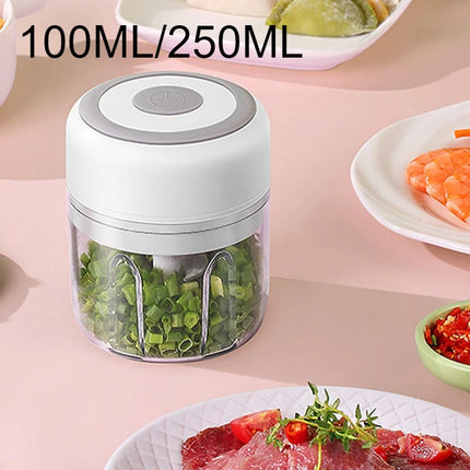 Electric Mini Garlic Chopper 100ML/250ML Food Chopper Garlic Mincer USB  Portable Small Food Processor for Vegetables