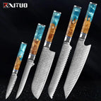 Premium Damascus5PC