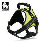 Neon Yellow / XS / China Mainland