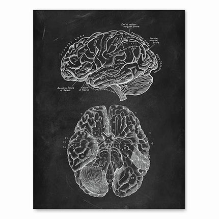 Human Anatomy Artwork Medical Clinic Wall Picture Skeleton Organ Muscle System Vintage Canvas Print Body Education Poster