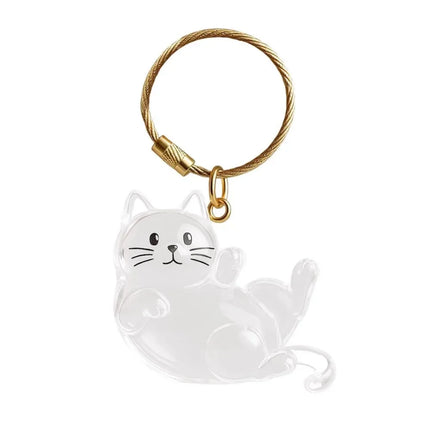 New Transparent Cat Hair Storage Keychain Cute DIY Pet Fur Keepsake Capsule Portable Souvenirs Keychain Pet Lovers