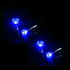 2pair blue