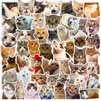 50pcs all
