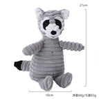 raccoon