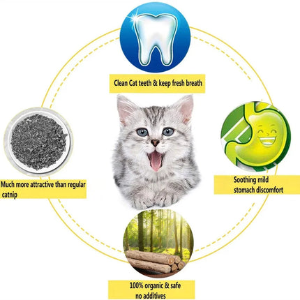 15pcs Natural Matatabi Cat Catnip Toy Kitten Molar Chew Stick Pet Cleaning Teeth Cat Treat Toy Actinidia Silvervine Pet Products