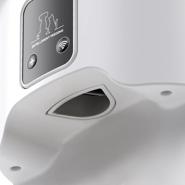 Distributeur automatique de croquettes pour chats, intelligent, WiFi, télécommandé, accessoires pour chiens et chats