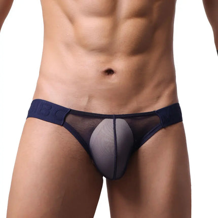 Men's 20D Ultra-Thin Briefs Low Waist Bold Bulge Pockets Sexy Fitted Triangle Underwear High Transparency Comfortable Briefs