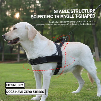 Heavy Duty No-Pull Dog Harness for Dogs - Reflective Lightweight Saddle Vest Pet Collar with Padded Straps Anti-Escape Design