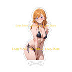 53 / 15CM Acrylic stand / Mainland China