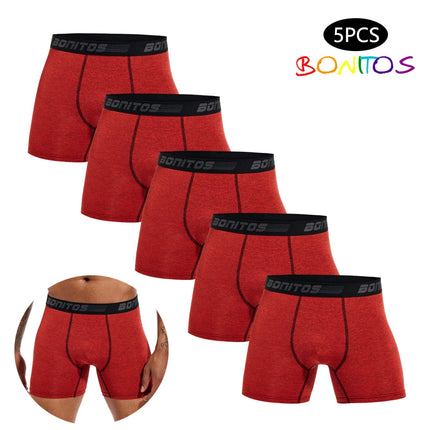 5pcs Men's Underpants Sexy Mens Panties Breathable Boxer Shorts Men Boxers Underwear for Man Trunks Fashion Men's Boxer Briefs