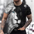 ETLTH24421155710 / 6XL