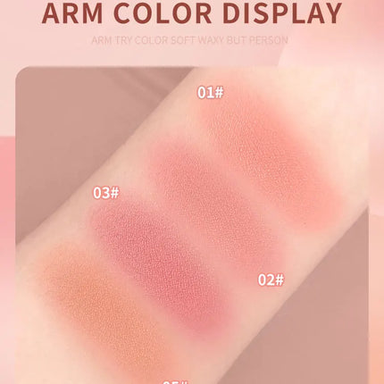 FOMIX Loose Powder Air Cushion Blush Long Last High Pigment Soft Misty Matte Face Blusher Natural Colors For Cheek