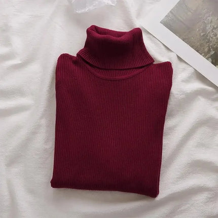 Korean High Collar Knitted Long Sleeve Base Shirt Pure Color Slimming Versatile Underwear Elegant Inner Long Top Women's Fashion