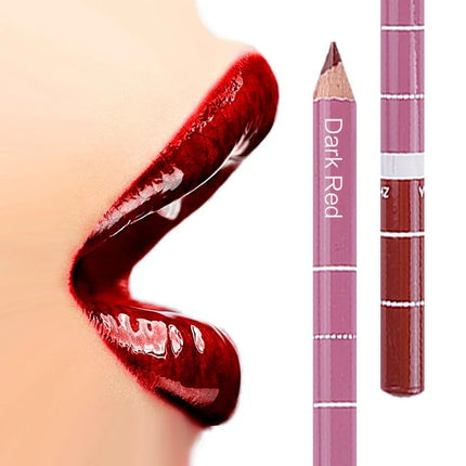 New 2025 Hot Sale New 12 Color 1Set Professional Metal Makeup Pencil Lipstick Suitable Women's Makeup Matching Lipstick Supplies