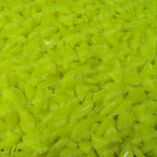 curry / XS for 0.5 -2.5kg