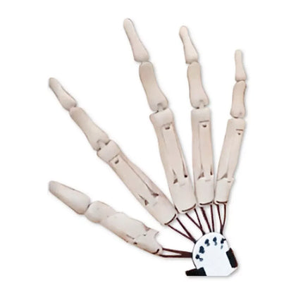 3D Printed Halloween Articulated Fingers Extensions Flexible Joints Movable Wearable Long Fingers Decoration Props Claw Cosplay